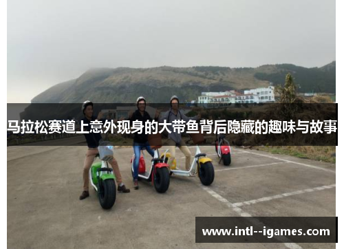 马拉松赛道上意外现身的大带鱼背后隐藏的趣味与故事