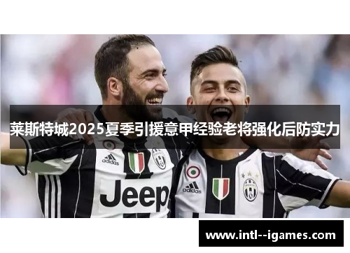 莱斯特城2025夏季引援意甲经验老将强化后防实力